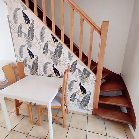 別荘 Maison 30m2 - 1 - Jardin